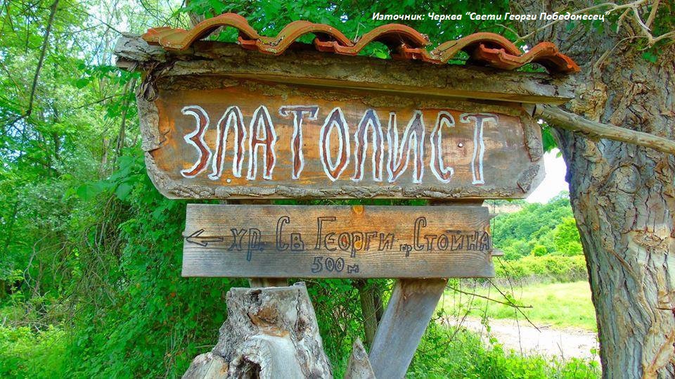 Златолист