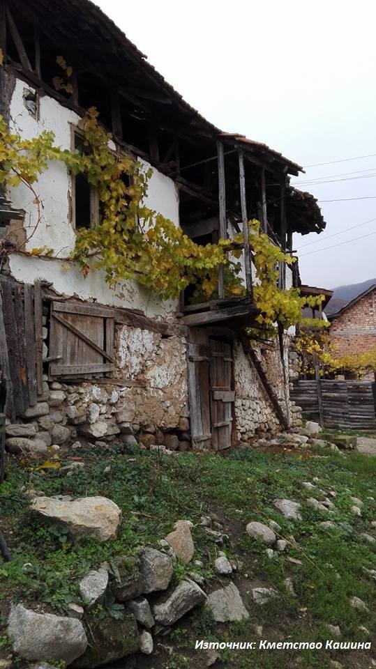 Кашина